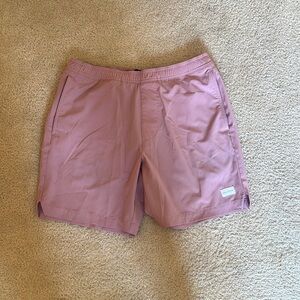 Hollister Swim Trunks